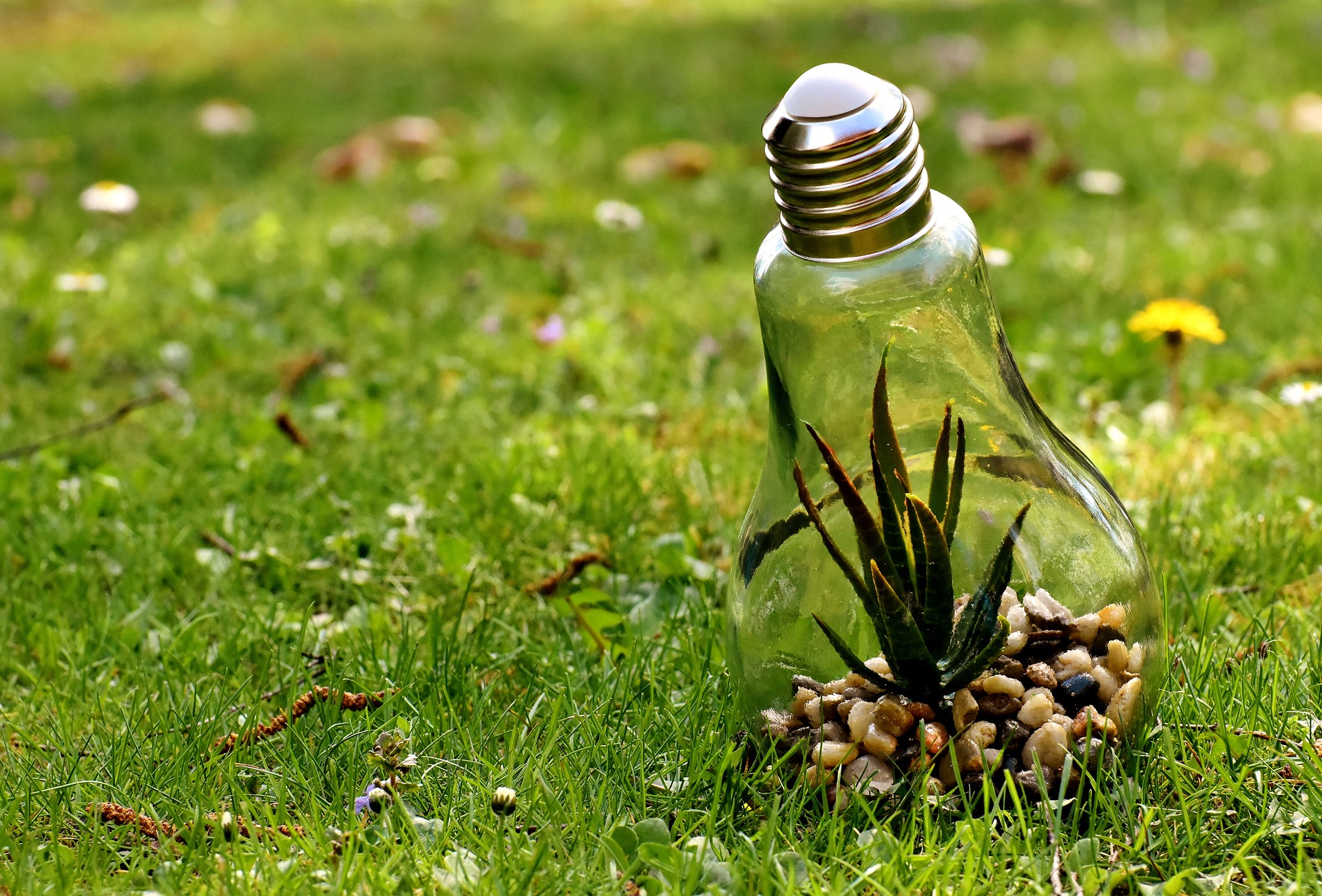 environmental-protection